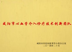 咸陽(yáng)市心血管介入診療技術(shù)創(chuàng)新團(tuán)隊(duì)