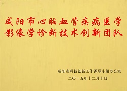 咸陽市心腦血管疾病醫(yī)學(xué)影像學(xué)診斷技術(shù)創(chuàng)新團(tuán)隊(duì)